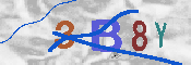 Immagine CAPTCHA