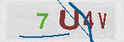 Immagine CAPTCHA