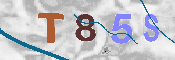 Immagine CAPTCHA