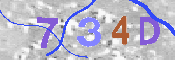 Immagine CAPTCHA